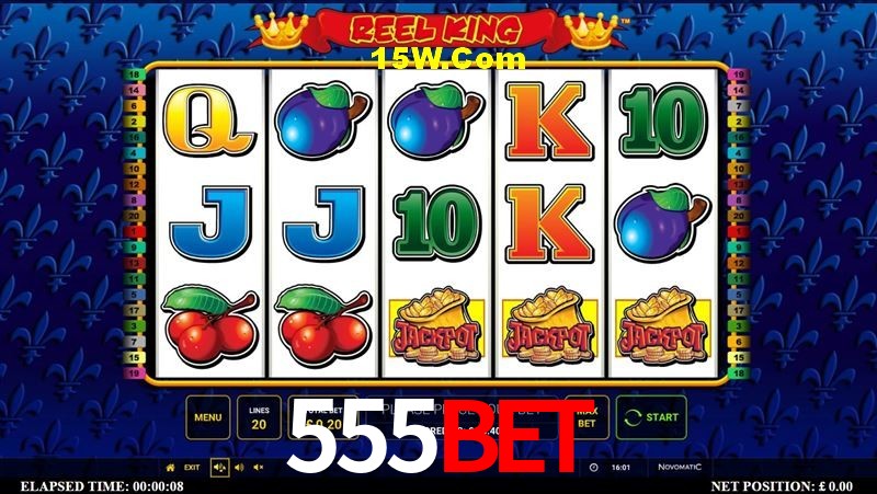 Bonus Features 555bet